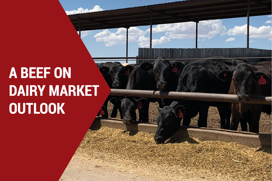 The price is right … but will it always be?