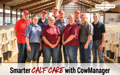 Smarter calf care with CowManager