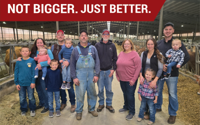 Using DHI to improve profitability