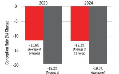 Reduce Heat Stress Impacts On Reproduction