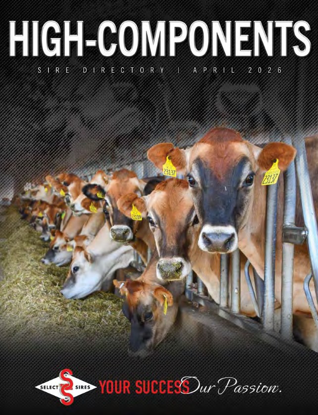 High Components Directory cover