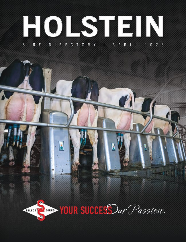 Holstein directory cover