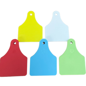 Allflex Global Large Female Blank Ear Tags with Small Male | Blank Cattle Ear Tags for Dairy & Beef Cattle