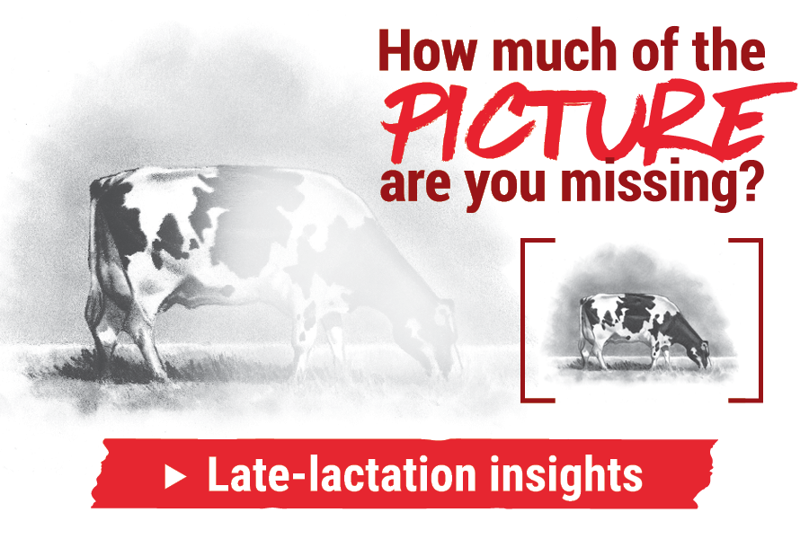 Better information before dry-off leads to better decisions