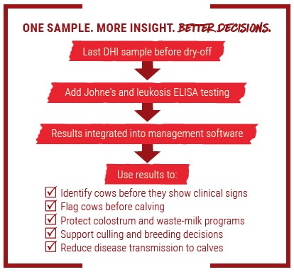 One sample image leads to better decisions