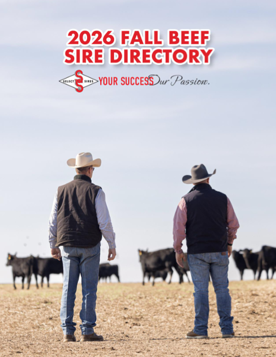 Fall Beef Directory cover
